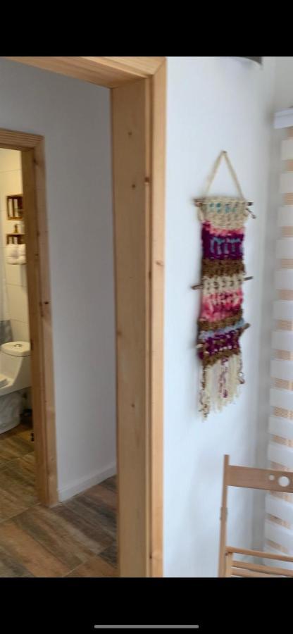 Cabanas El Jardin De Jacinta コイハイケ エクステリア 写真
